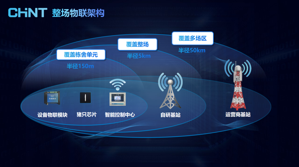 图片19.png